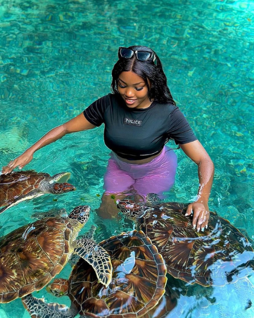 Swimming with tortoise