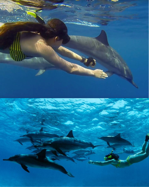 Diving & Snorkeling